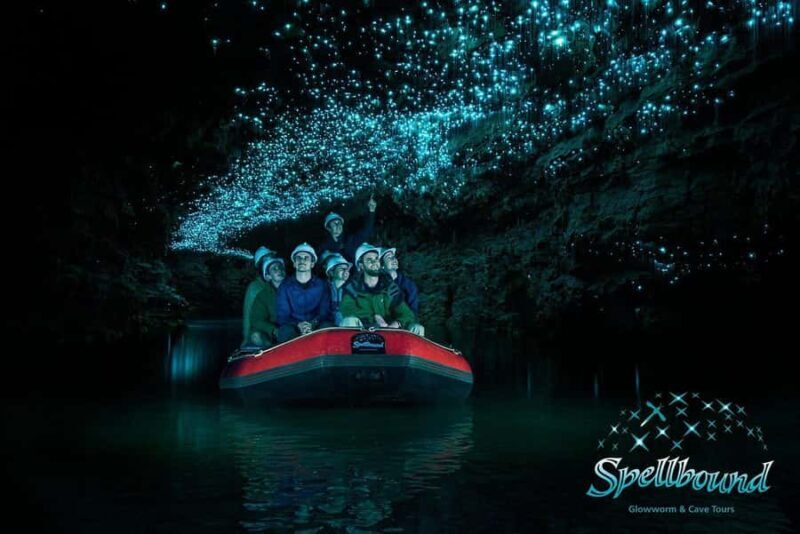 From Hamilton: Waitomo Glowworm Caves Explorer Small Group - Good To Know