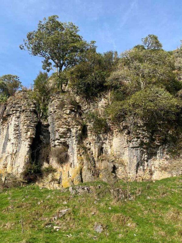 From Hamilton: Waitomo Glowworm Caves Explorer Small Group - FAQ