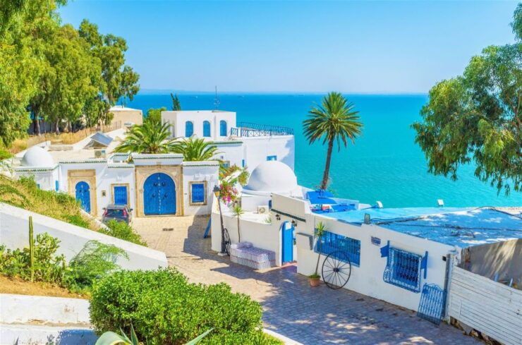 From Hammamet: Day Trip to Sidi Bou Saïd and Carthage - Activity Details