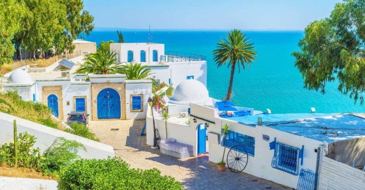 From Hammamet: Day Trip to Sidi Bou Saïd and Carthage - Highlights of the Experience