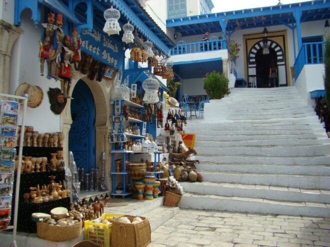 From Hammamet: Day Trip to Sidi Bou Saïd and Carthage - Magical Landscapes of Tunisia