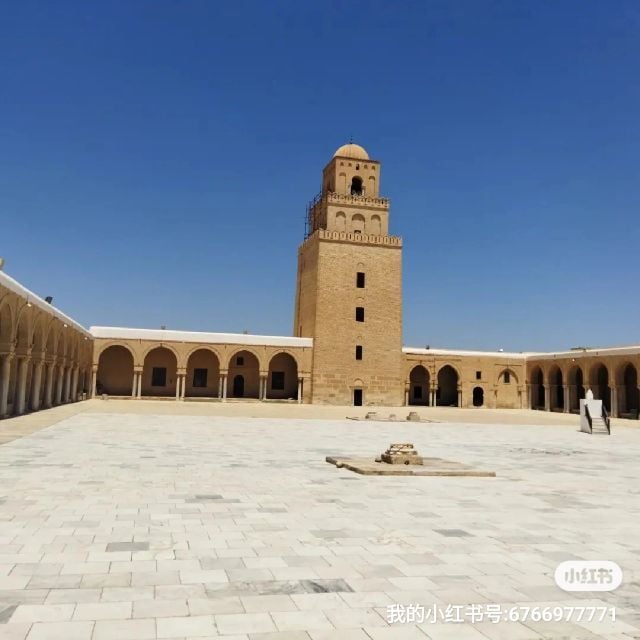 From Hammamet: Sahara Tour We 3 Days and 2 Nights - Inclusions and Services