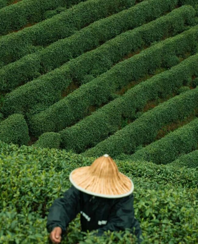 From Hangzhou: Longwu Tea Village, Longmen Town & Dam Tour - Introduction