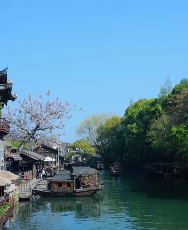 From Hangzhou: Wuzhen Water Town Tour with Riverside Essence - Exploring Wuzhen with a Practical Lens
