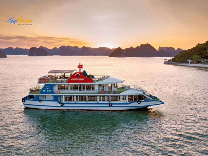 From Hanoi: 1 Day Ha Long Bay Luxury Cruise With Buffet - What to Bring