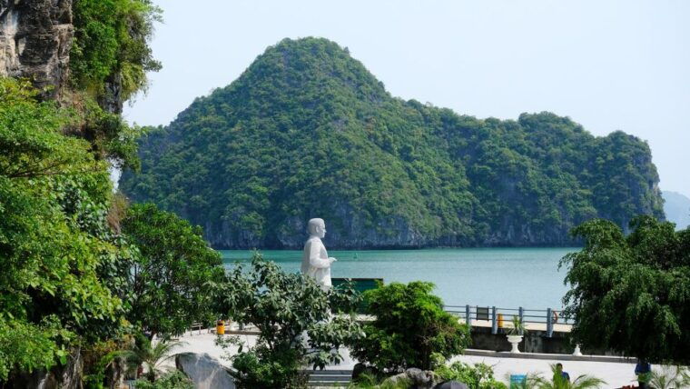 From Hanoi: 1 -Day Halong Bay Cruise With Big & Small Groups - Customer Experience and Reviews