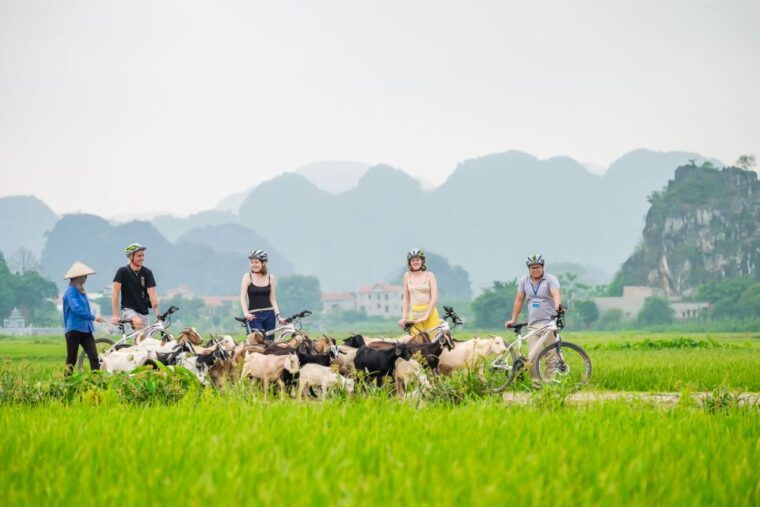 From Hanoi: 1-Day Ninh Binh Highlight Small - Big Group Tour - Tour Exclusions