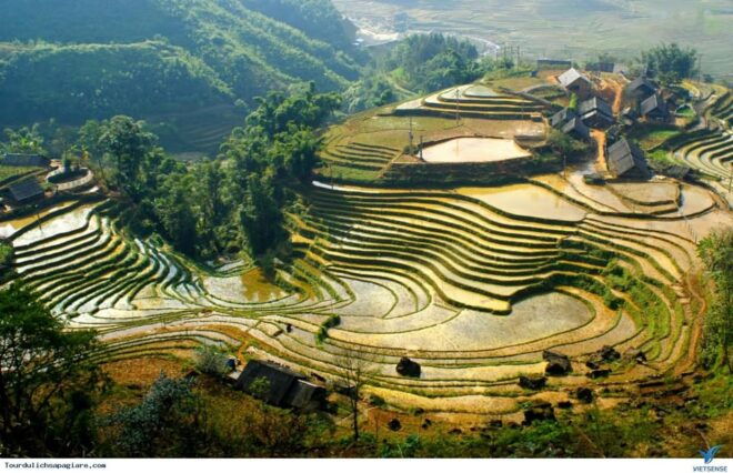 From Hanoi: 2-Day 2-Night Sapa Tour by Overnight Train - Important Information