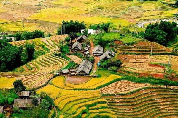 From Hanoi: 2-Day 2-Night Sapa Tour by Overnight Train - Pickup and Language Support