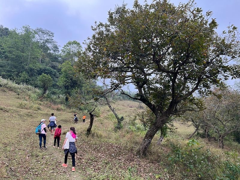 From Hanoi: 2-Day Cao Bang - Ban Gioc Waterfall Trekking Tour - What makes this Cao Bang trip worth considering