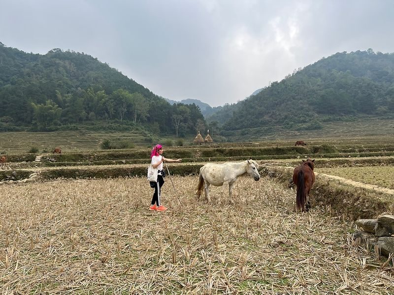 From Hanoi: 2-Day Cao Bang - Ban Gioc Waterfall Trekking Tour - Ban Gioc Waterfall from river level and above