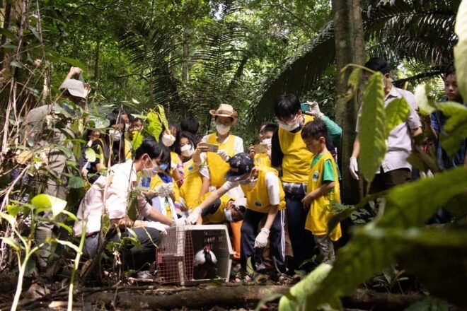 From Hanoi: 2 Day Ninh Binh - Cuc Phuong National Park - Visiting Hoa Lu