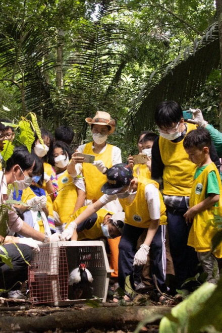 From Hanoi: 2 Day Ninh Binh - Cuc Phuong National Park - Climbing Mua Cave