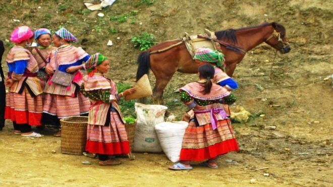 From Hanoi: 2-Day Overnight Sapa Tour by Luxury Transfer - Review and Recommendations
