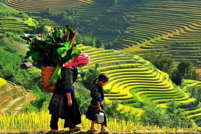 From Hanoi: 2-Day Overnight Sapa Tour by Luxury Van Limousine - Logistics and Meeting Point