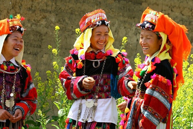 From Hanoi: 2-Day Overnight Sapa Tour by Luxury Van Limousine - Highlights and Itinerary