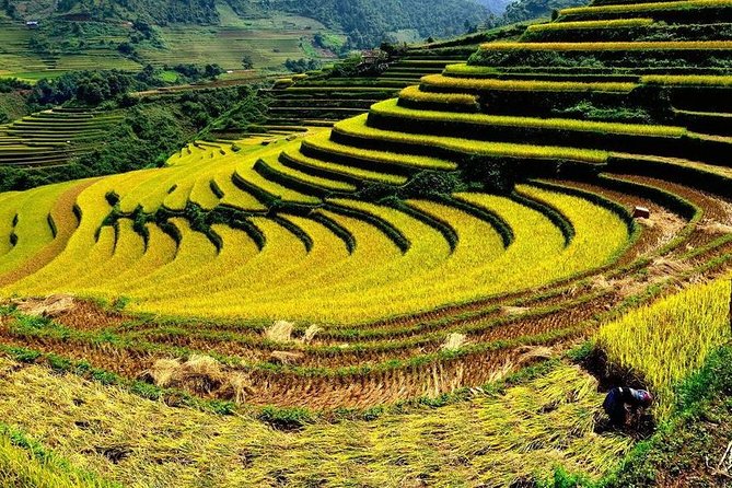 From Hanoi: 2-Day Overnight Sapa Tour by Luxury Van Limousine - What to Expect During the Tour