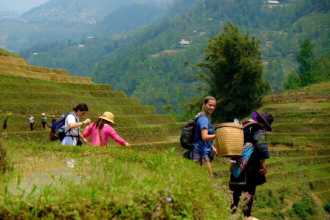 From Hanoi: 2-Day Sapa, Fansipan, and Muong Hoa Valley Tour - Transportation and Accommodation