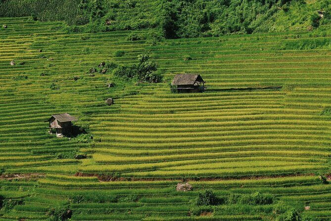 From Hanoi: 2-Day Sapa Scenic Highlands with overnight Homestay - Final Thoughts
