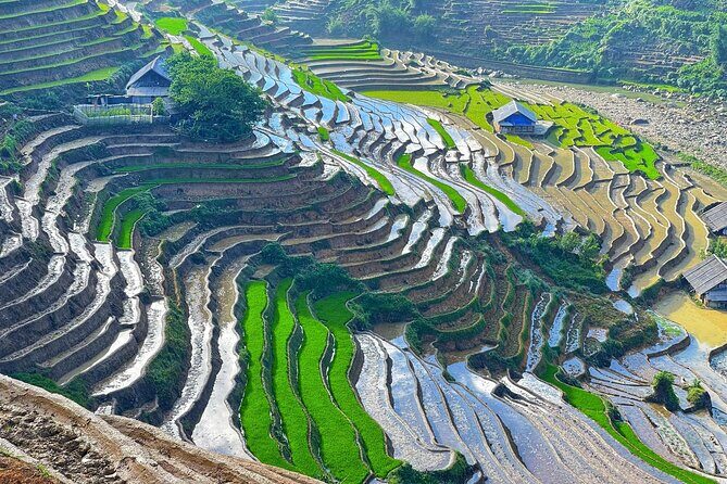 From Hanoi: 2-Day Sapa Scenic Highlands with overnight Homestay - Overnight in a Homestay