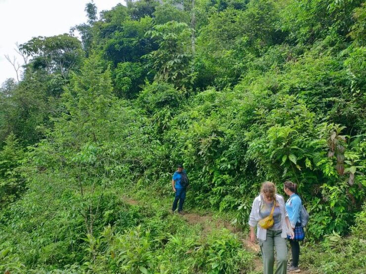 From Hanoi: 2-Day Sapa Trek& Overnight in Cosy Ethnic Family - Tour Overview and Pricing