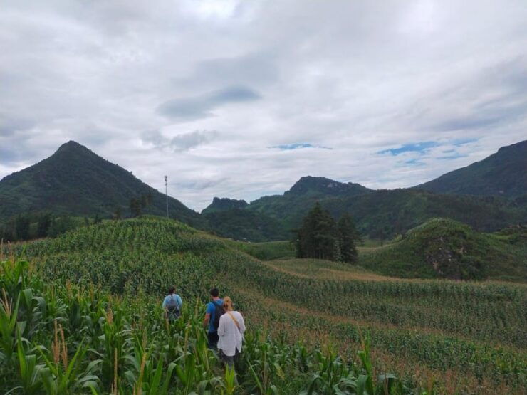 From Hanoi: 2-Day Sapa Trek& Overnight in Cosy Ethnic Family - Day 1 Highlights