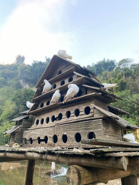 From Hanoi: 2-Day Sapa Trekking & Hiking With Fansipan Peak - Activity Duration and Flexibility