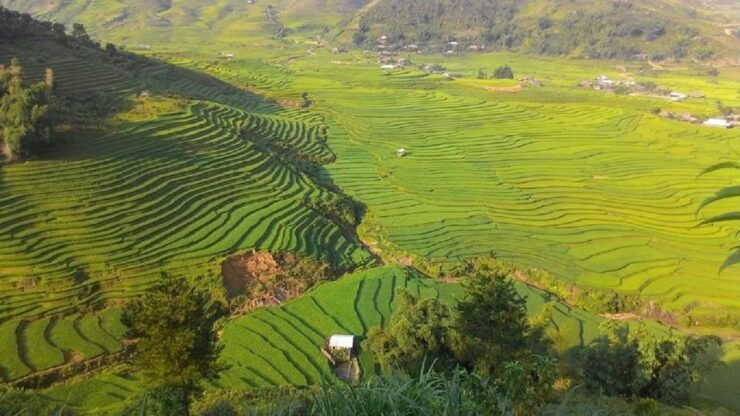 From Hanoi: 2 Day Sapa Trekking To Village & Bungalow - Tour Highlights