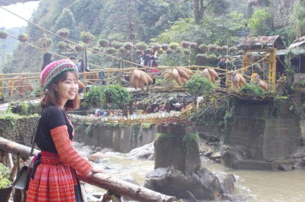 From Hanoi: 2-Day Sapa Trekking Tour With Limousine Transfer - Transportation Details