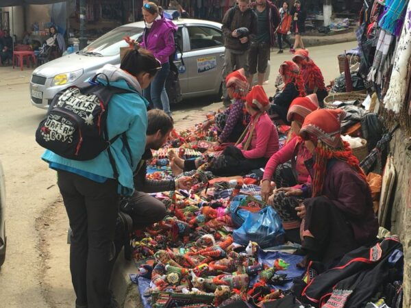From Hanoi: 2-Day Sapa Trekking Tour With Limousine Transfer - Trekking Highlights and Recommendations