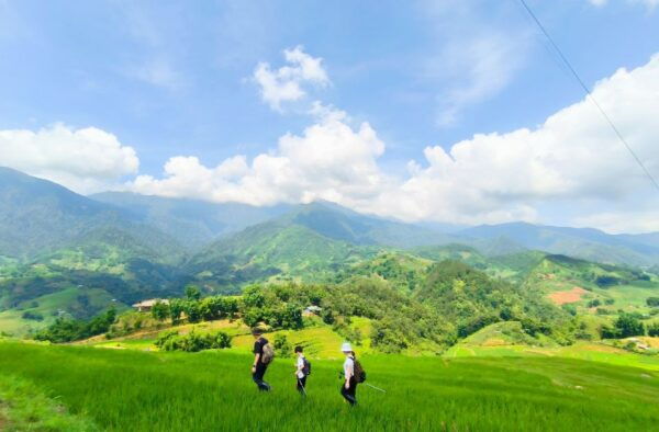 From Hanoi: 2-Day Sapa Trekking Tour With Limousine Transfer - The Sum Up