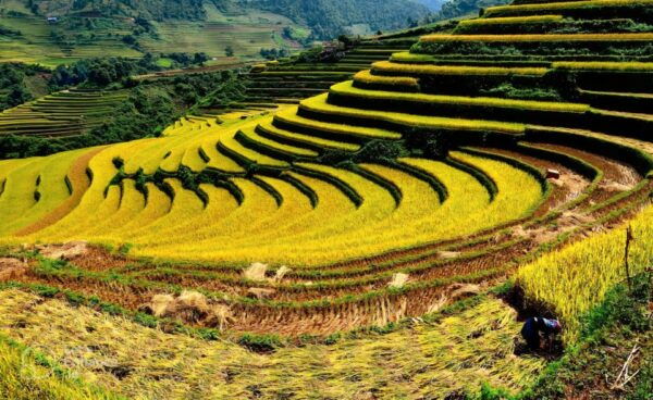 From Hanoi: 2-Day Sapa With Fansipan Peak and Trekking - Common Questions