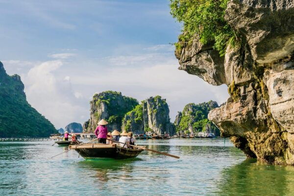From Hanoi: 2-Day Tour Ninh Binh & Ha Long Bay Cruise - Ha Long Bay Activities