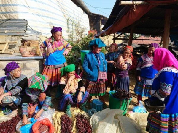 From Hanoi: 2-Day Trekking to Villages in Sapa With Homestay - Know Before You Go