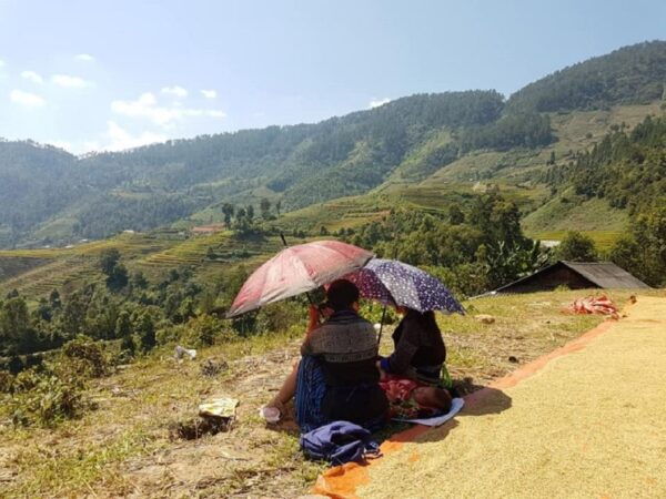 From Hanoi: 2-Day Trekking to Villages in Sapa With Homestay - The Sum Up