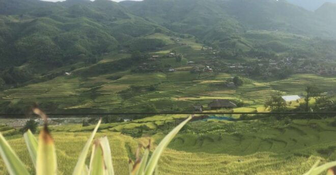 From Hanoi: 2-Day Trip to Sapa By Sleeping Bus - Comparison With Overnight Train Tour