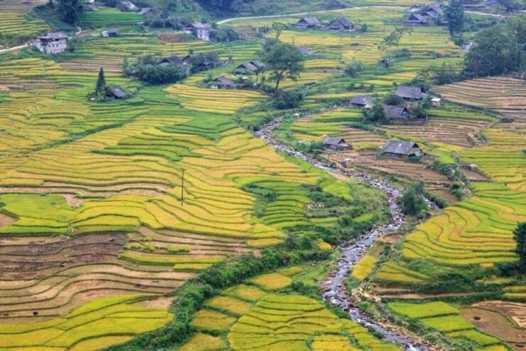 From Hanoi: 2-Days Sapa Trekking Tour Lao Chai and Cat Cat - Itinerary Highlights