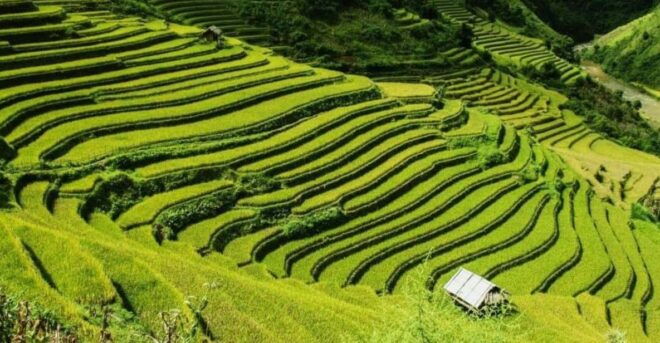 From Hanoi: 2-Days Sapa Trekking Tour Lao Chai and Cat Cat - Day 1 Activities
