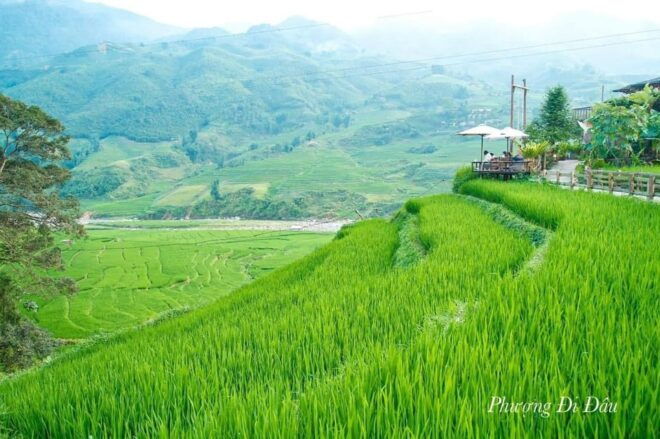 From Hanoi: 2-Days Sapa Trekking Tour Lao Chai and Cat Cat - Day 2 Activities