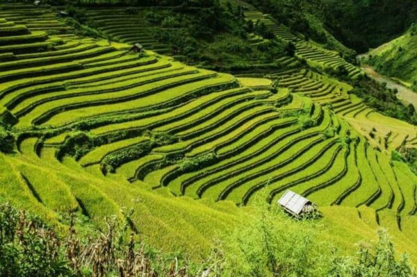 From Hanoi: 2-Days Sapa Trekking Tour Lao Chai and Cat Cat - Important Considerations