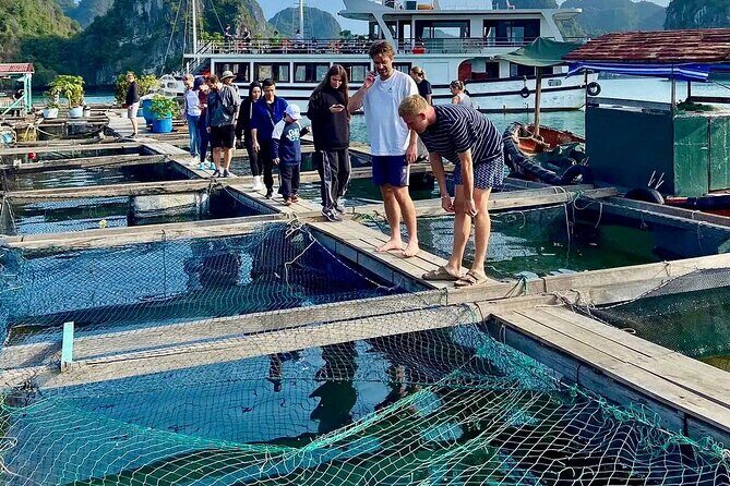 From Hanoi: 2D1N Adventure Cat Ba National Park, Lan Ha Bay - A Deep Dive into the 2D1N Cat Ba & Lan Ha Bay Tour