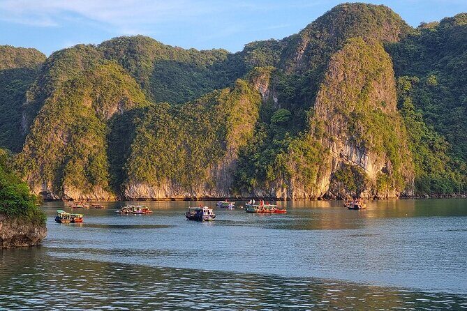 From Hanoi: 2D1N Halong Royal Palace Cruise with Cave Discovery - Why This Cruise Offers Great Value