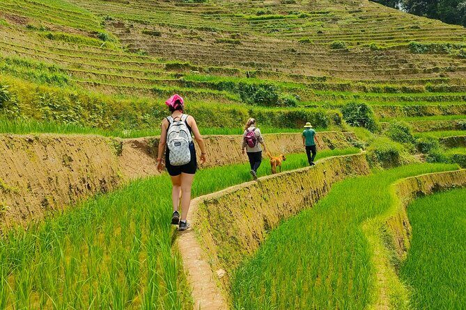 From Hanoi: 2D1N Mu Cang Chai Private Trekking & Homestay - Good To Know