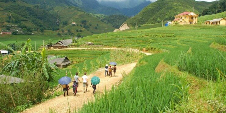 From Hanoi: 2D1N Sapa Hotel Trek With Overnight Bus - Tour Overview and Itinerary