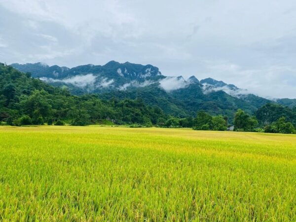 From Hanoi: 3-Day Ha Giang Loop Self-Driving Tour - Important Travel Tips