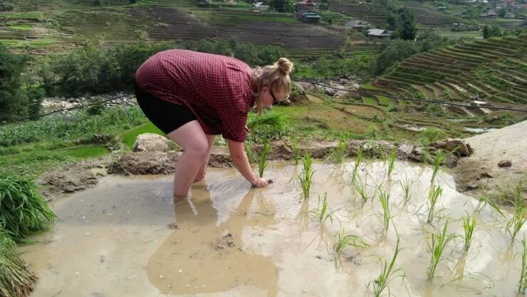 From Hanoi : 3-Day Homestay Trekking in Tour Sa Pa - Tour Details