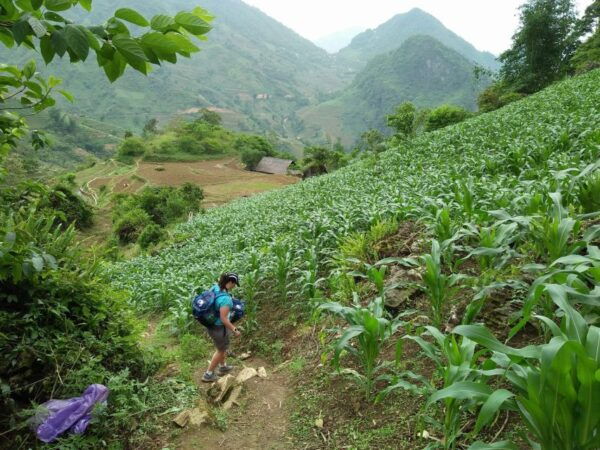 From Hanoi : 3-Day Homestay Trekking in Tour Sa Pa - The Sum Up