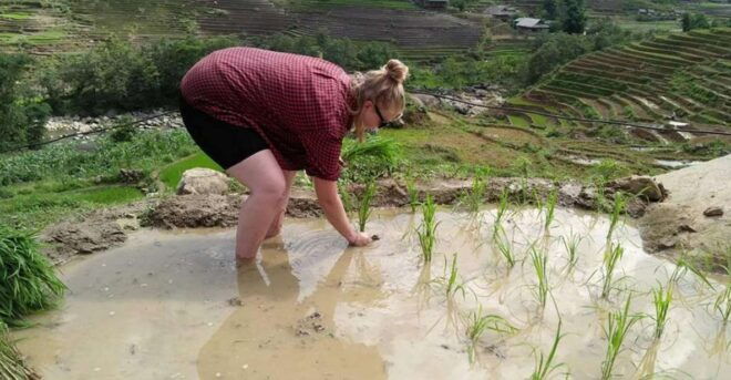 From Hanoi : 3-Day Homestay Trekking in Tour Sa Pa - Cultural Immersion and Homestay Experience