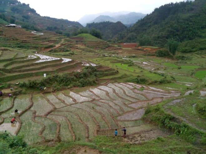 From Hanoi : 3-Day Homestay Trekking in Tour Sa Pa - Important Information and Tips