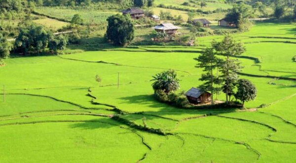 From Hanoi: 3-Day Motorbike Ha Giang Loop With Easy Rider - Returning to Ha Giang City